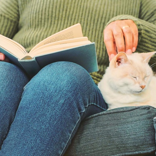a person reading a book to a cat